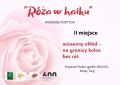 Róża w haiku 2022 