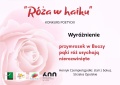 Róża w haiku 2022 