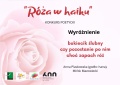 Róża w haiku 2022 