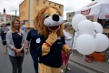 6. Festiwal Róż