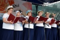 6. Festiwal Róż