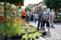 6. Festiwal Róż