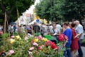 6. Festiwal Róż