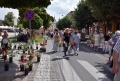 6. Festiwal Róż