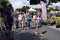 6. Festiwal Róż