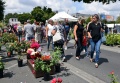 6. Festiwal Róż