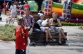 6. Festiwal Róż