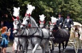 6. Festiwal Róż