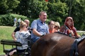 6. Festiwal Róż