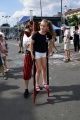 6. Festiwal Róż