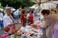 6. Festiwal Róż
