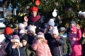 Wielkie ubieranie choinki - 2019