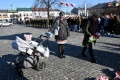 Łask oddał cześć Żołnierzom Wyklętym