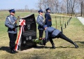 Uroczyste otwarcie „Alei Dębów Pamięci”