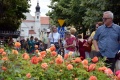8. Festiwal Róż w Łasku 