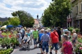 8. Festiwal Róż w Łasku 