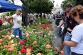 8. Festiwal Róż w Łasku 