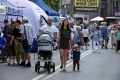 8. Festiwal Róż w Łasku 