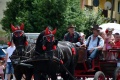 8. Festiwal Róż w Łasku 