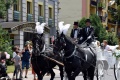 8. Festiwal Róż w Łasku 
