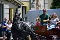 8. Festiwal Róż w Łasku 