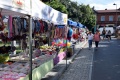 8. Festiwal Róż w Łasku 