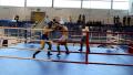 Puchar Europy w kickboxingu 