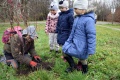 Książka za drzewo w PP nr 3