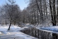 Zima w obiektywie