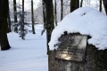 Zima w obiektywie