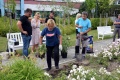 Dama Łasku rośnie już w różanym ogrodzie 