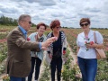 Para prezydencka na różanej plantacji 