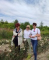 Para prezydencka na różanej plantacji 